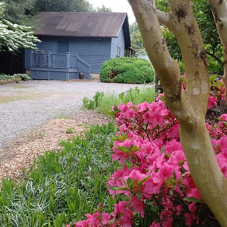Restored1850S Log Cabin, With Gazebo And Gardens! 1 Mile To Downtown Weaverville Zewnętrze zdjęcie
