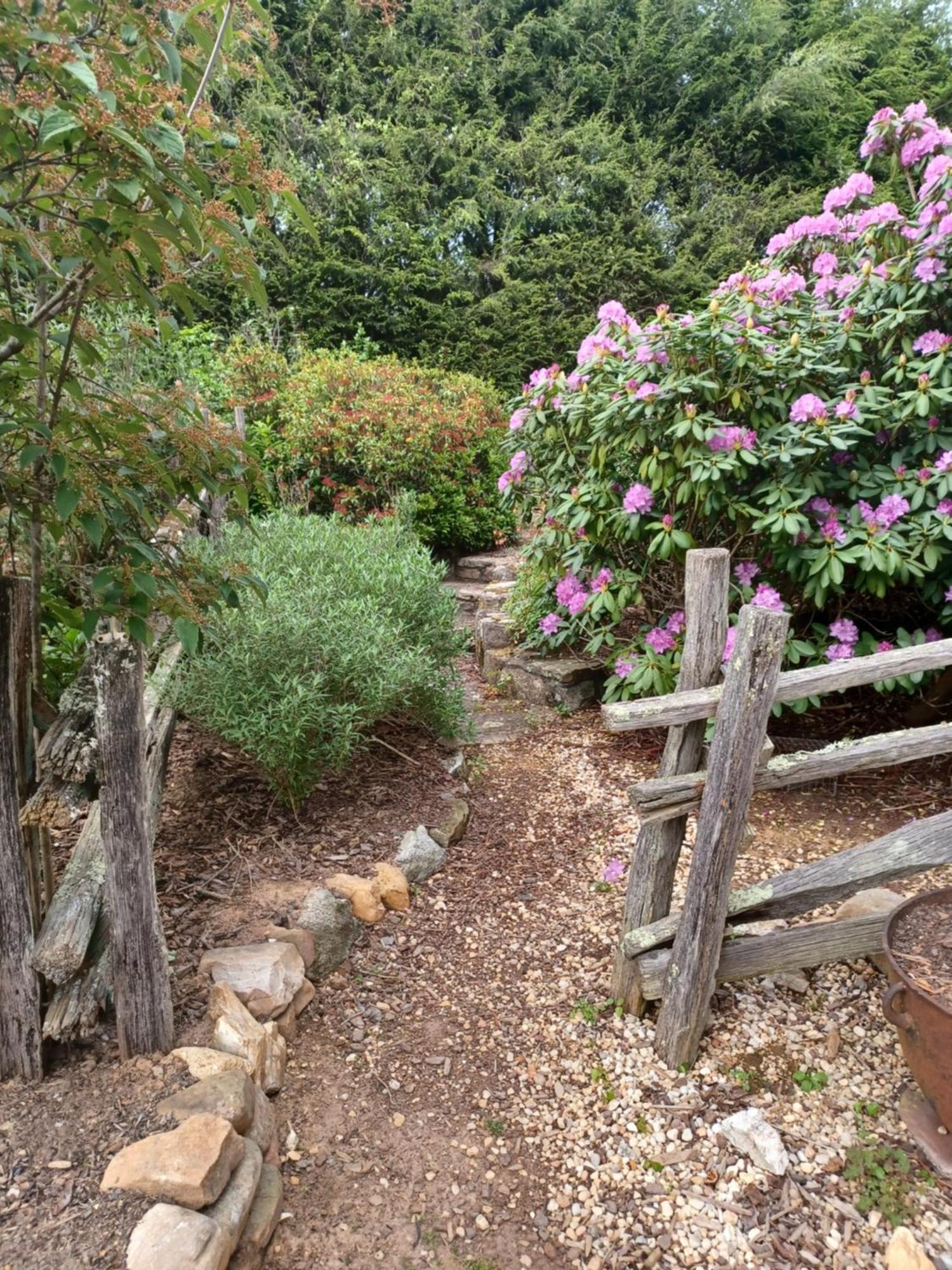 Restored1850S Log Cabin, With Gazebo And Gardens! 1 Mile To Downtown Weaverville Zewnętrze zdjęcie