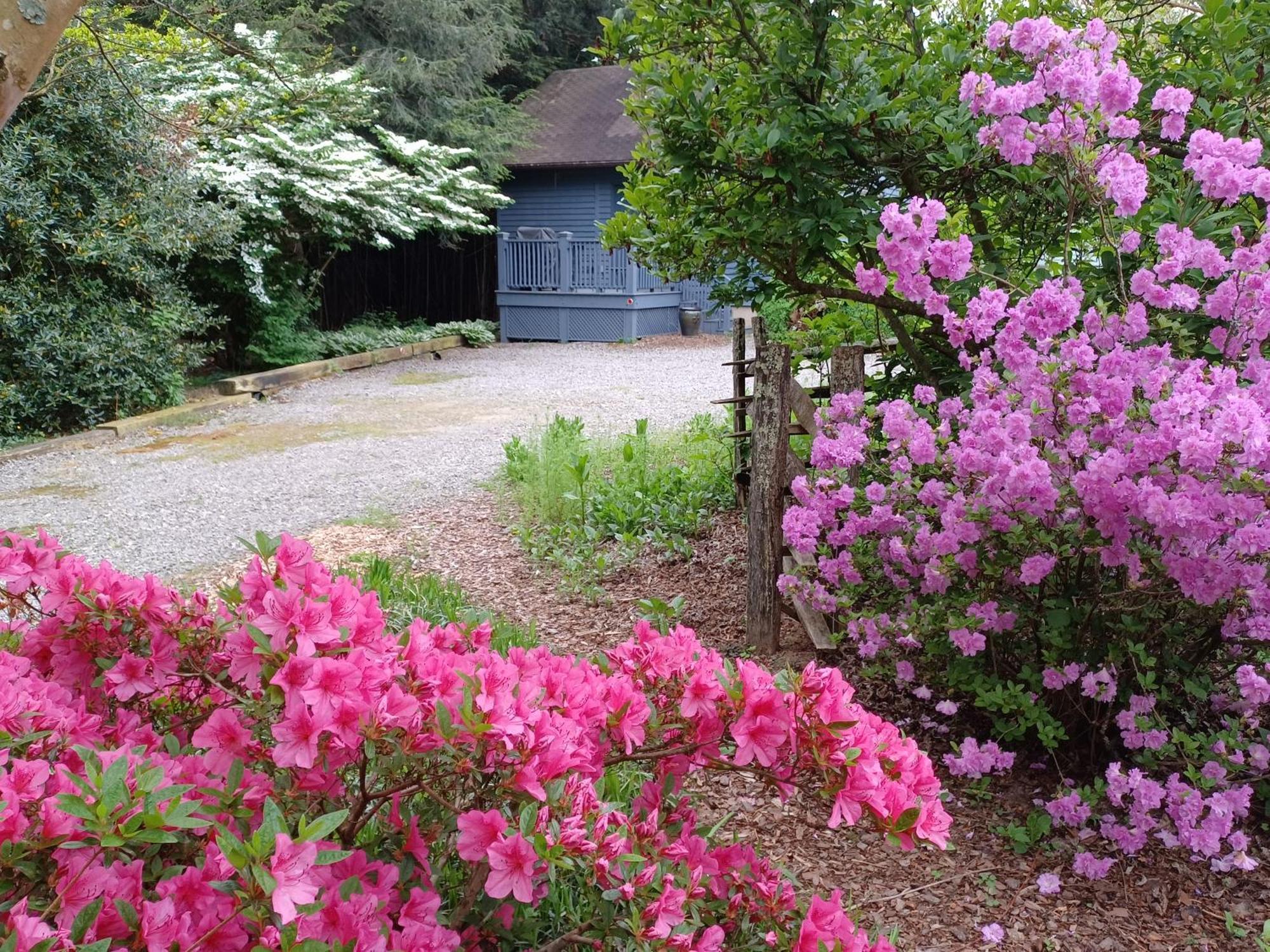 Restored1850S Log Cabin, With Gazebo And Gardens! 1 Mile To Downtown Weaverville Zewnętrze zdjęcie