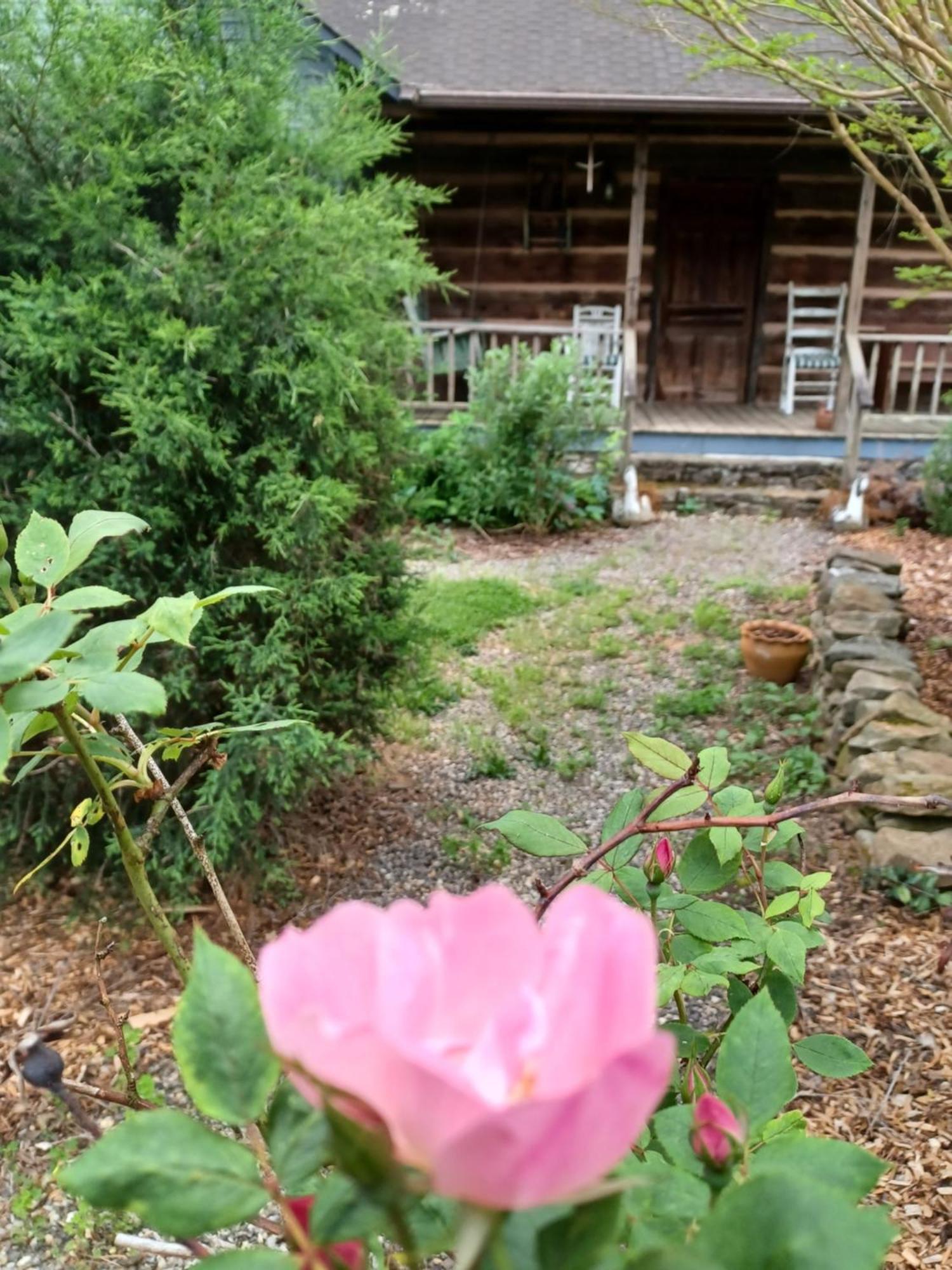 Restored1850S Log Cabin, With Gazebo And Gardens! 1 Mile To Downtown Weaverville Zewnętrze zdjęcie