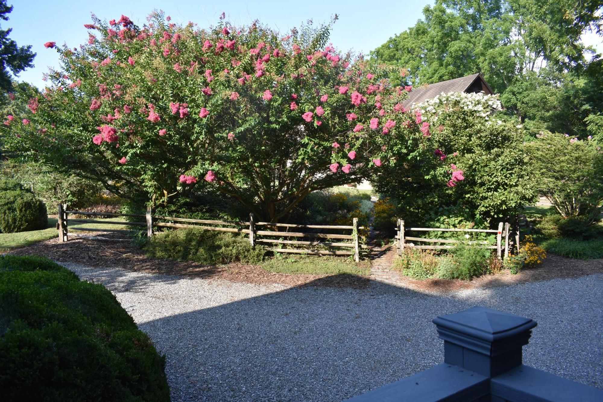 Restored1850S Log Cabin, With Gazebo And Gardens! 1 Mile To Downtown Weaverville Zewnętrze zdjęcie