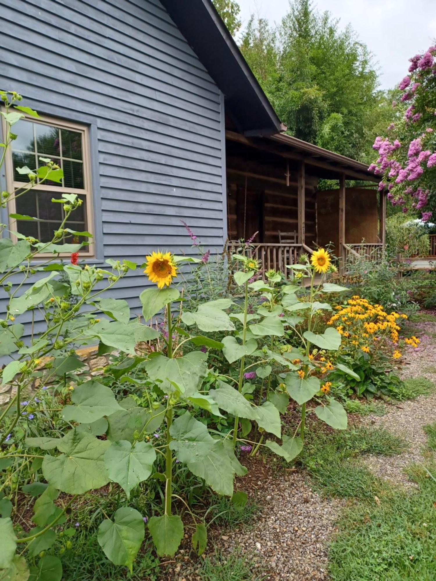 Restored1850S Log Cabin, With Gazebo And Gardens! 1 Mile To Downtown Weaverville Zewnętrze zdjęcie